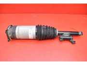 Stoßdämpfer links hinten Tesla Model S (5YJS) 106646100C