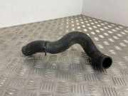 Schlauch Kühlung RENAULT KOLEOS I (HY_) 2.5 4x4 (HY0C, HY0N)