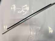 Türverkleidung links hinten BMW 3er Gran Turismo (F34)