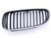 Vorderer oberer Gitter BMW 3 Cabrio (E93) 320 d 51137254967