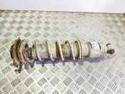 Stoßdämpfer rechts hinten Subaru Outback IV (BR) 20365AJ062BE