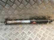 Stoßdämpfer hinten rechts