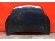 Motorhaube Ford Focus II Cabriolet (DB3)