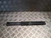 Heckklappendämpfer links Chrysler 300 C Touring (LX, LE) 5065600AF