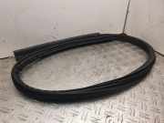 Türgummi links vorne Volvo C30 (533) 31256242