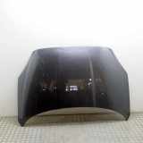 Motorhaube JAGUAR E-PACE (X540) 2.0 D AWD J9C3-770