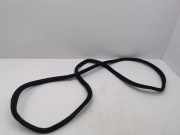 Dichtung für Koffer-/Laderaumklappe Toyota Corolla Kombi (E12)