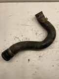 Schlauch Kühlung AUDI A6 (4F2, C6) 2.7 TDI 4F0121101
