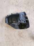 Gitter vorne unten PEUGEOT 2008 II e-2008 9810870377