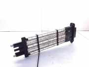 Elektrischer Schulterschulterkühler