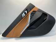 Türpolster hinten links BMW X5 (G05) xDrive 30 d Mild-Hybrid