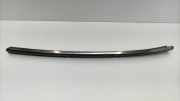 Zierleiste Windschutzscheibe Frontscheibe MERCEDES-BENZ SL (R230) 350 (230.467) N/A