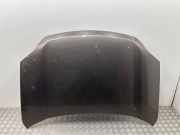 Motorhaube NISSAN X-TRAIL (T31) 2.0 dCi