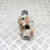 Heckscheibenwischermotor