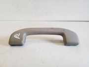 Dachgriff vorne links NISSAN PATHFINDER III (R51) 2.5 dCi 4WD