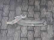 Stange/Strebe für Radaufhängung rechts Opel Antara (L07)