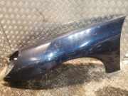 Kotflügel vorne links