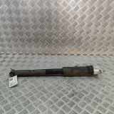 Stoßdämpfer hinten links MERCEDES-BENZ CLA Coupe (C118) CLA 200 Mild-Hybrid A1183201301