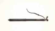 Heckklappe Gasdruckfeder rechts TOYOTA RAV 4 V (XA50) AWD Hybrid LE+ 2.5 68910-42060