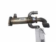 AGR-Kühler FORD C-MAX II (DXA/CB7, DXA/CEU) 2.0 TDCi 875816W