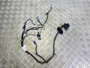 Türverkabelung hinten links OPEL Crossland X (P17) (P17) 1.2 (75)