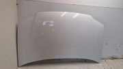 Motorhaube VW CADDY III Variant (2KB, 2KJ, 2CB, 2CJ) 1.9 TDI