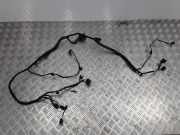 Kabelbaum RENAULT LAGUNA Coupe (DT0/1) 3.0 dCi (DT03) 55RJC0L04 240120014R