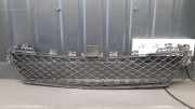 Kühlergrill unten Mercedes-Benz C-Klasse (W204) A2048850624