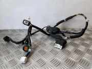 Türverkabelung hinten links INFINITI EX 30d