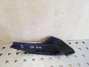 Andere Aufbauteile NISSAN X-TRAIL (T31) 2.0 dCi 66894JG000