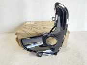 Gitter Grill vorne links