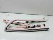 Dach SRS rechts OPEL INSIGNIA A Sedan (G09) 2.0 CDTI (69) 4973195320