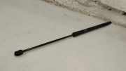 Heckklappe Gasdruckfeder links FIAT TIPO Hatchback (357_) 1.4 00520907730