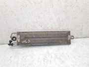 Kraftstoffkühler VW Passat B6 (3C2)