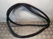 Türdichtung Audi Q5 (8R)