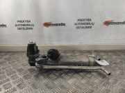 Abgaskühler VW Passat B7 (362) 03L131512C