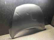 Motorhaube Nissan Juke (F15)