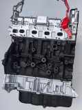 Motor FORD TRANSIT CUSTOM Minibus / passenger 2.0 TDCi YNF6