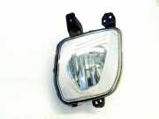 Nebelscheinwerfer links vorne Ford Fiesta VII (HJ, HF) H1BB15A255AB