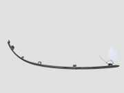 Front Bumper Center Moulding JAGUAR S-TYPE (X200) 2.7 D 4R8317B970BB