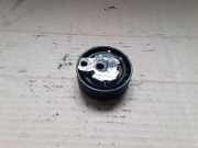 Riemenspanner FORD FOCUS IV (HN) 1.0 EcoBoost 2T1Q6K254AB