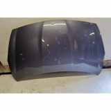 Motorhaube HYUNDAI i20 (PB, PBT) 1.6 CRDi