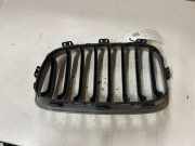 Vorderer oberer Gitter BMW 1 (F21) 116 d 7239022