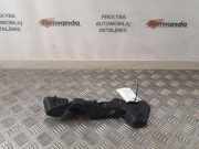 Stoßstangenhalter vorne links RENAULT MASTER III Furgon (FV) 2.3 dCi 125 FWD (FV0C, FV0D) 620430006R