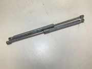 Heckklappe Gasdruckfeder rechts AUDI Q5 (8R) 2.0 TDI quattro 0021900600N 8R0827552