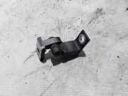 Türscharnier vorne rechts