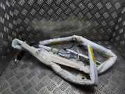 SRS Modul Dach links BMW 7 (E65, E66, E67) 730 Ld 30341976b 30319165d