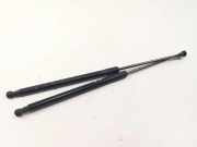 Heckklappe Gasdruckfeder links NISSAN LYBRA (839_) 1.5 dCi 90450JD01B