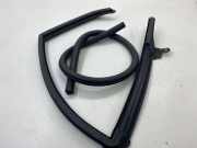 Türdichtung Audi A7 Sportback (4G) S5339932