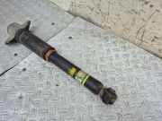 Stoßdämpfer hinten links TOYOTA RAV 4 V (XA50) 2.5 Hybrid (AXAH52) 4853042140